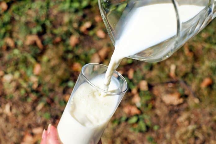 Liquid milk Food