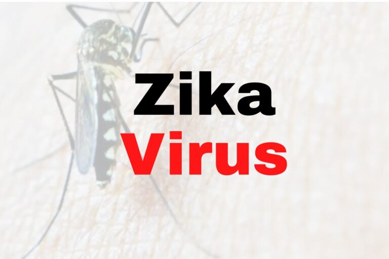 Zika Virus