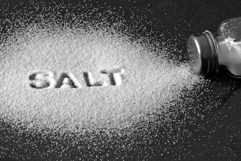 Salt Food