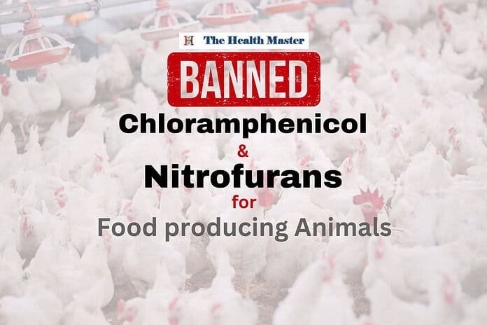 Landmark Ban: Chloramphenicol and Nitrofurans Banned for Food Animals
