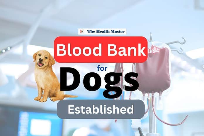 Special blood bank for dogs established